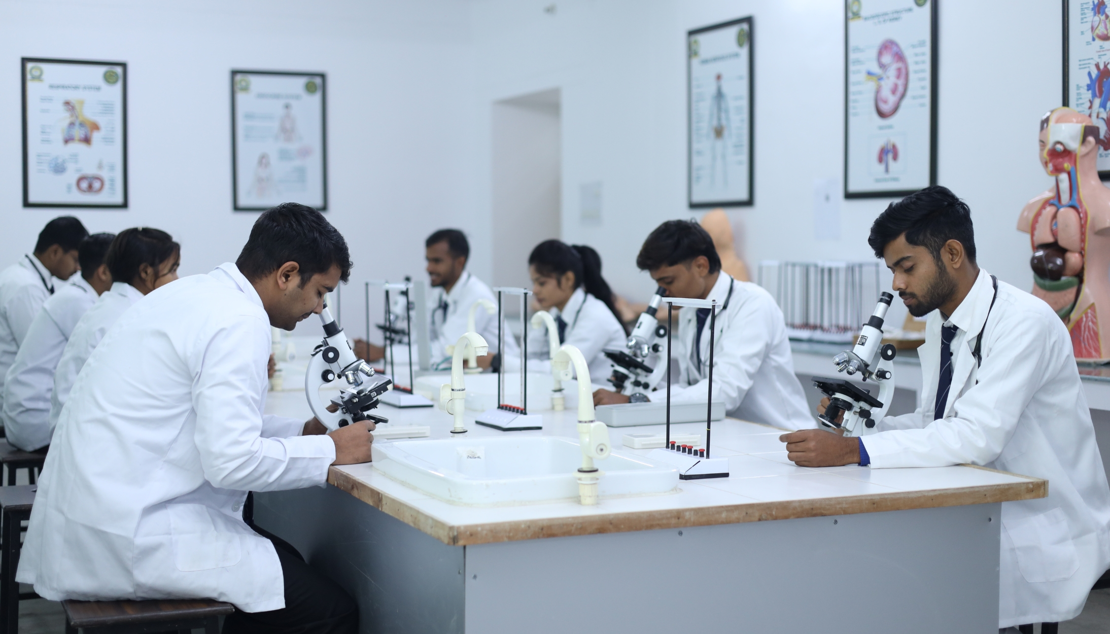 Biotechnology Engineering